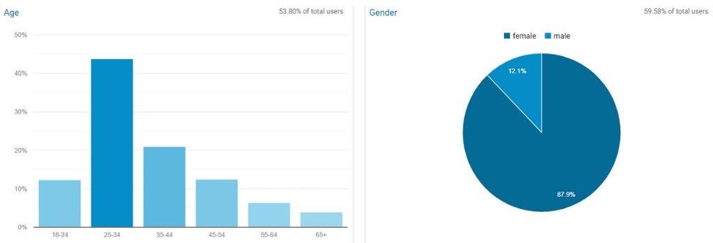 Google Analytics Demographics for Understanding Your Niche