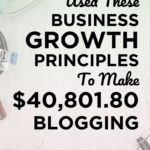 How I Used These Business Growth Principles to Make $40,801.80 Blogging