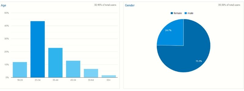 Demographics Google Analytics