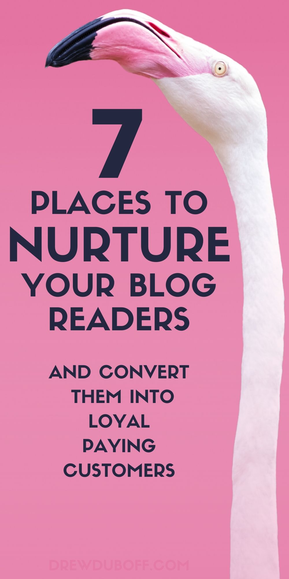 7 Places to Nurture Your Blog Readers and Convert Them Into Loyal Paying Customers